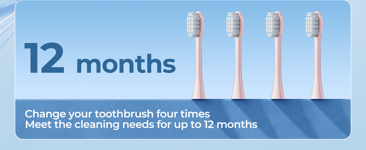 Adult electric toothbrush