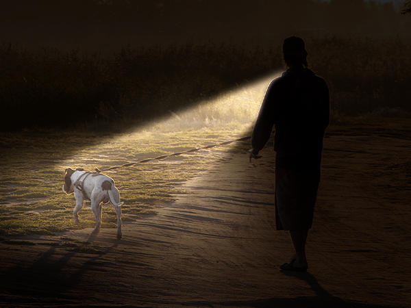 Walking dog at night with EastPin neck flashlight for handsfree illumination