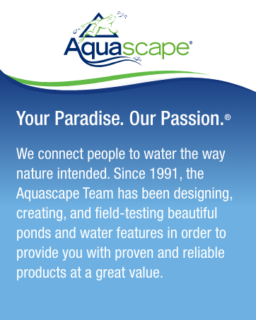 Aquascape Brand Story Statement