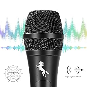 microphone