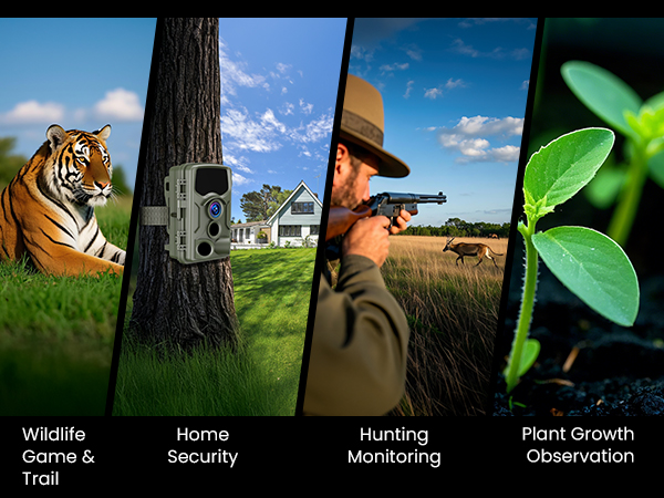 Motion-Activated Camera