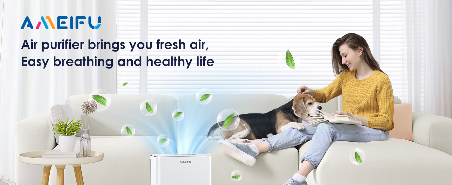 AMEIFU Air Purifier