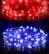 Ariceleo USB LED Fairy String Light, 1 Pack Copper Wire Fairy Lights for Indoor, Bedroom Festival...