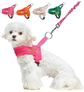 BEAUTYZOO Dog Harness for Small Dogs, No Pull Dog Harness and Leash Set, Soft Escape Proof Puppy ...