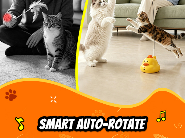 Interactive Cat Toys