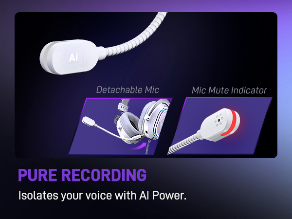 nc mic