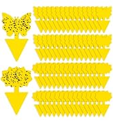 Fruit Fly Traps, 60 Pack Yellow Sticky Traps, Fungus Gnat Traps, Plant Fly Stickers for Indoor an...