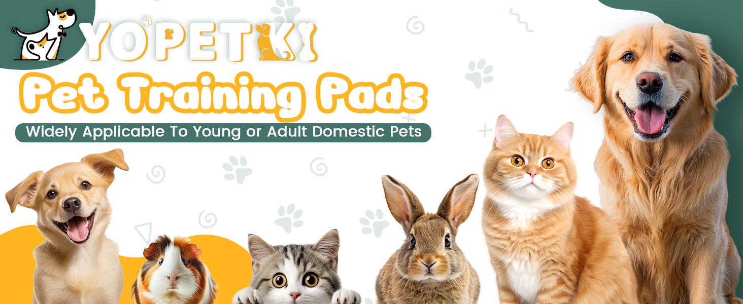 puppy pads
