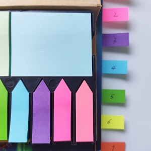 BLUECC Assorted Color Tape Flags Combo Pack