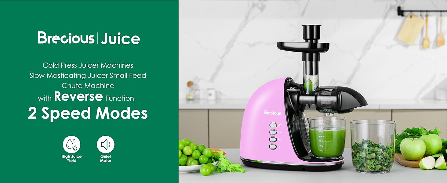 slow masticating juicer