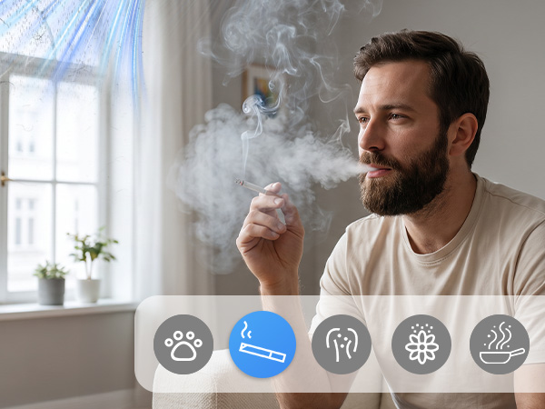 best air purifier for smoke in home
