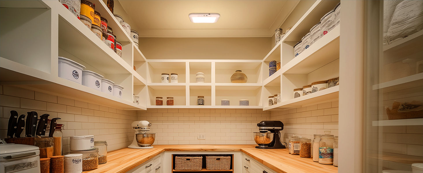 Rechargeable Battery Operated Ceiling Light