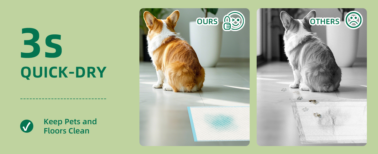 QUICK DRY DOG PEE TRAINING PADS
