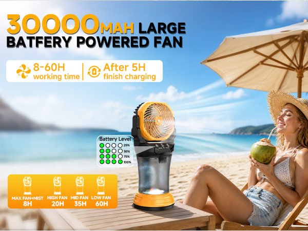 Portable Misting Fan