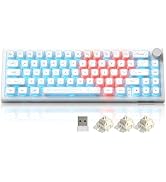 Womier 60% Percent Mechanical Gaming Keyboard Wireless Creamy Keyboard, QMK/VIA Topographic Hot-S...