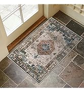 Collive Washable Indoor Doormat, Non Slip Retro Floor Mat 24