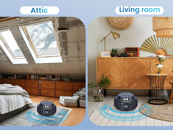 Attic,Living room