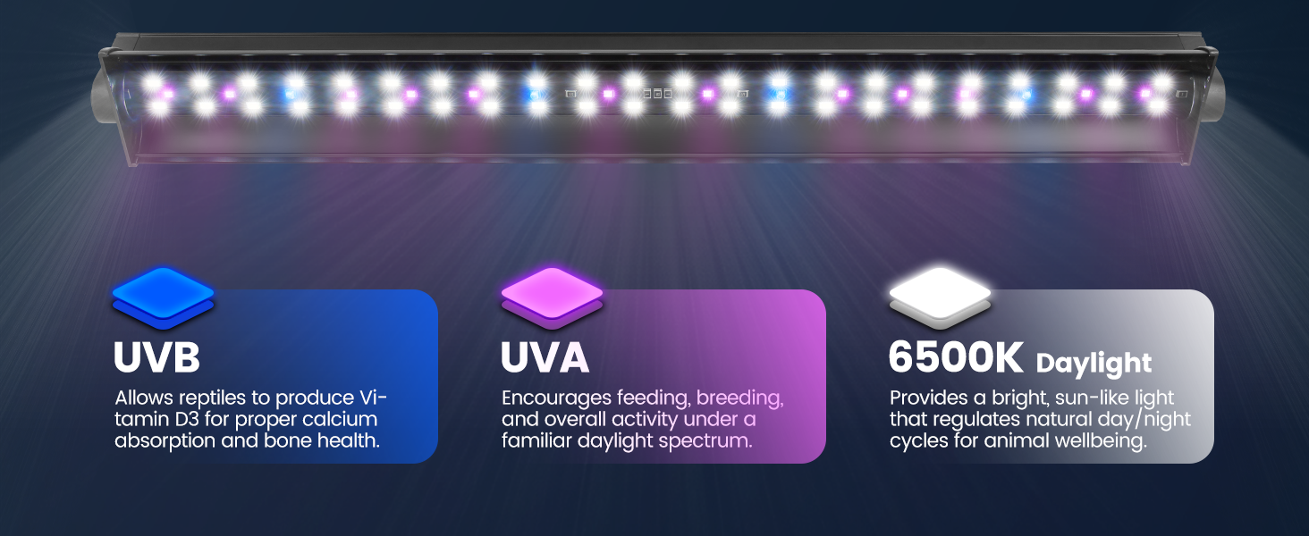 UVB LED Reptile Light