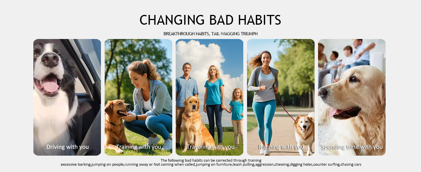 petrainer dog training collar vibrating training collar dog