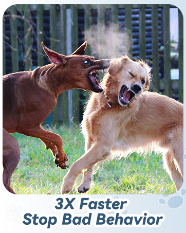 dog barking deterrent devices