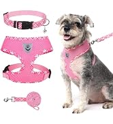 BINGPET Small Dog Harness and Leash Collar Set,Soft Mesh Reflective Dog Vest Harness No Pull,Step...