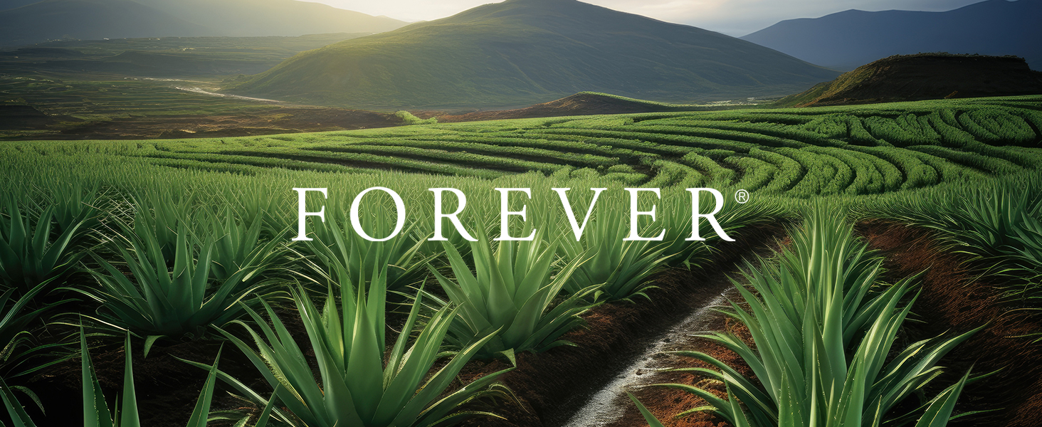 Pasta de dientes de aloe vera productos gel dental para siempre sin flúor dientes encías propóleo