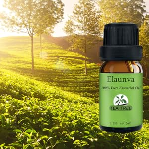 Tea tree