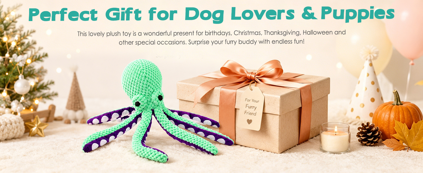 dog chew toys