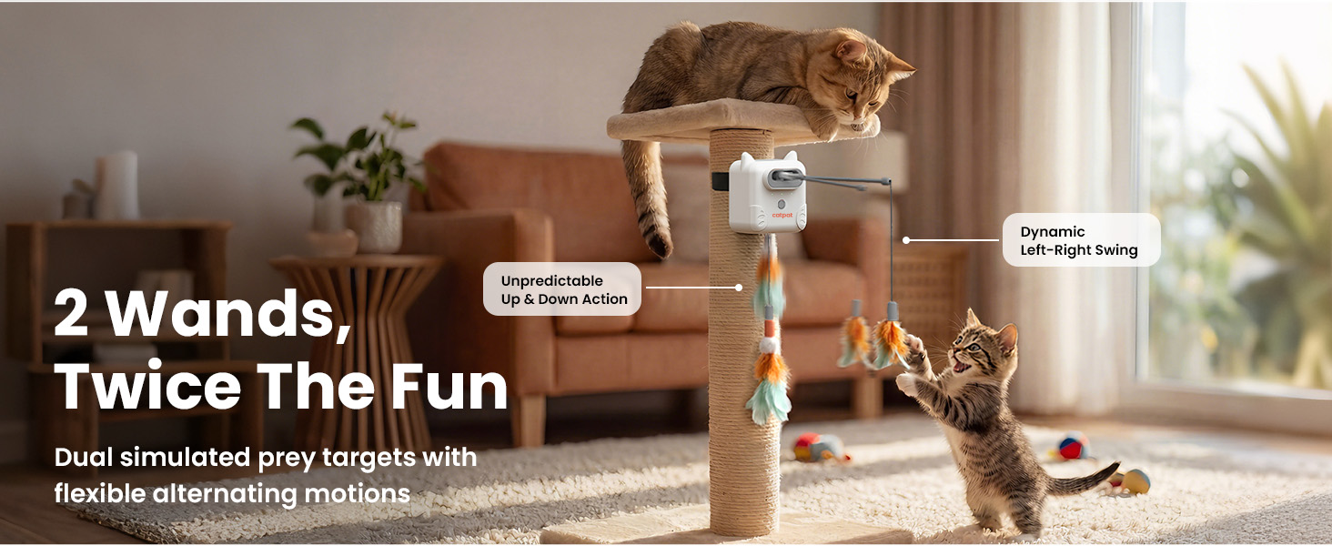 cat toy 611-1