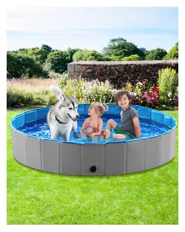 Dog pool