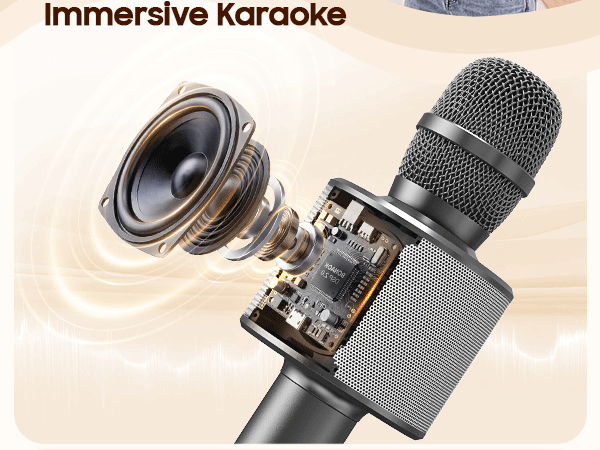 karaoke microphone