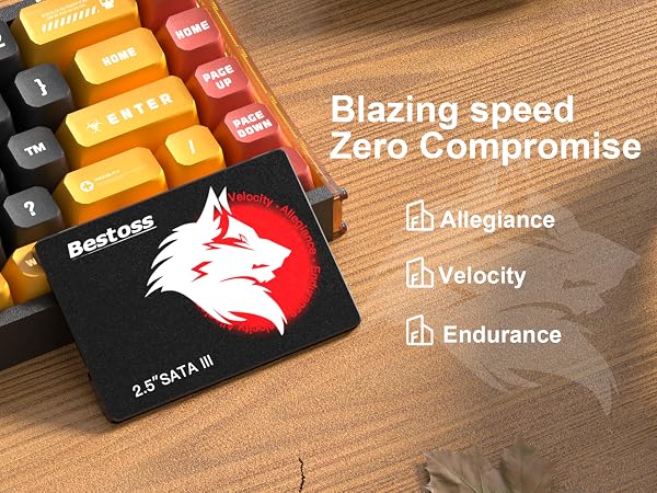SSD