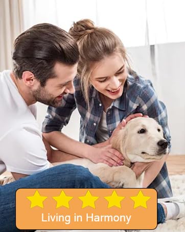 dog bark deterrent devices