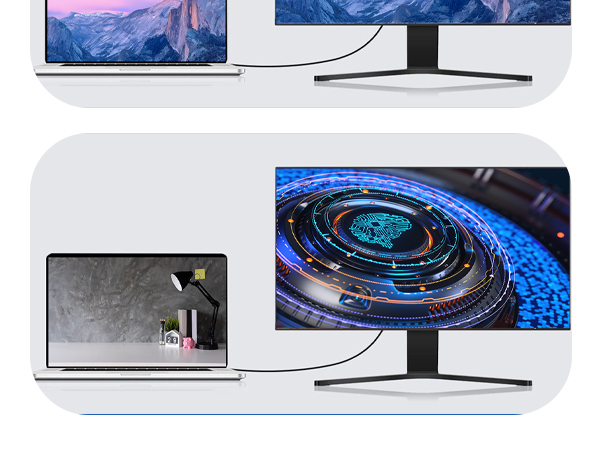 Type C to Display Port 1.4 Braided Cable