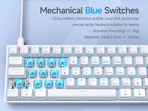 DK61SE- Blue Switch