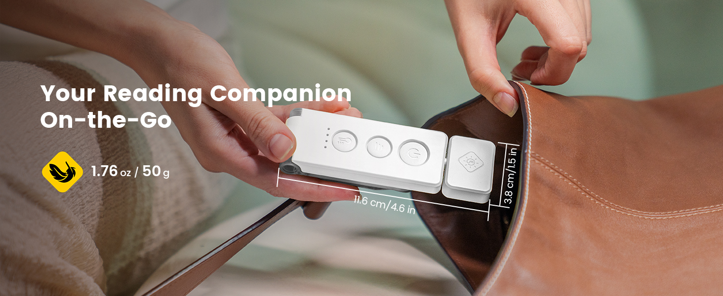 clip on reading light for bed
