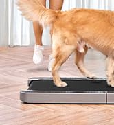 Foldable Walking Pad Treadmill