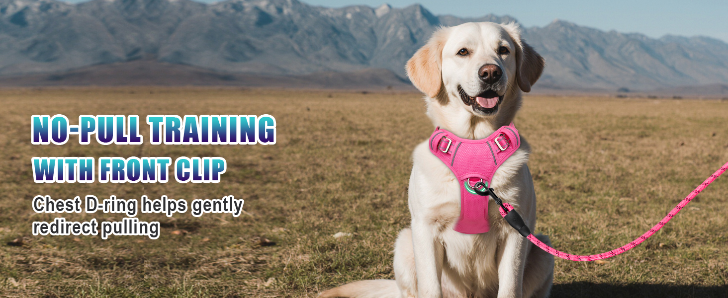 Front D ring on no pull dog harness dog collars harnesses leashes dog car harness large dog harness