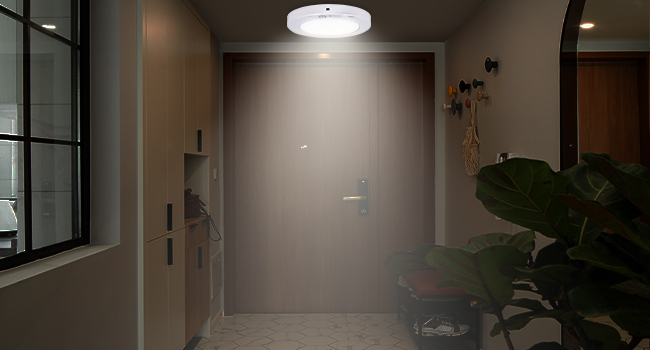 5000k ceiling light 