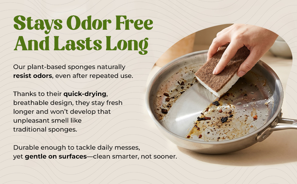 bulk dish sponges eco dish sponge dish sponge coconut fiber sponge organic dish sponge
