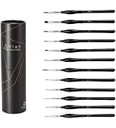 Elan Detail Paint Brush Set, 12 Oil Paint Brushes for Acrylic Painting, Small Paint Brush Fine De...