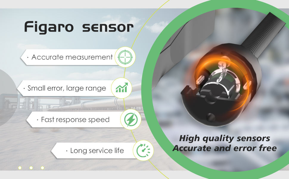 Combustible Gas Leak Detector