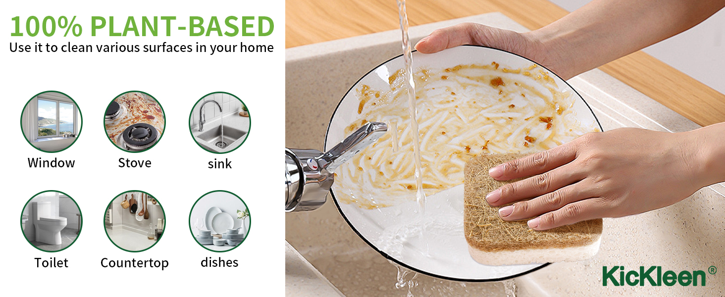 kitchen cleaning sponges