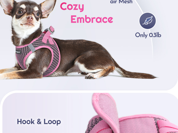 dog harness small dog