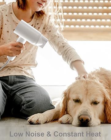 blow dryer for dog