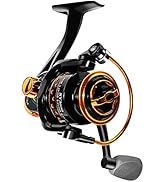 Summer and Centron Spinning Reels, 12 +1 BB Light Weight, Ultra Smooth Powerful, Size 3000 is Per...