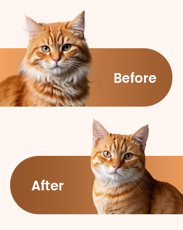 Dog Grooming Clippers