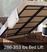 BEAMNOVA 4.6 FT Bed Lift Mechanism, 286-353 lbs Load Capacity, Lifting Gas Spring Set, Heavy Duty...