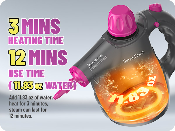 steam cleaner for car