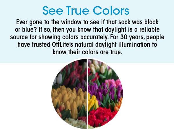 See True Colors, Shows Colors Accurately, Natural Daylight Illumination, Light, Comparison, Compare